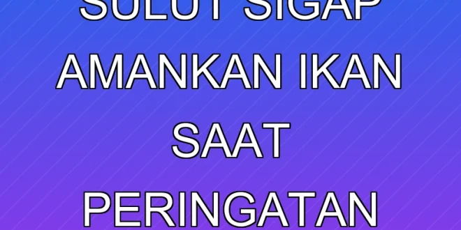 Nelayan Sulut Sigap Amankan Ikan Saat Peringatan Tsunami BMKG