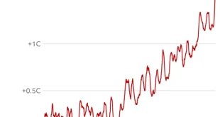 Nyamuk Muncul di Islandia: Bukti Nyata Perubahan Iklim