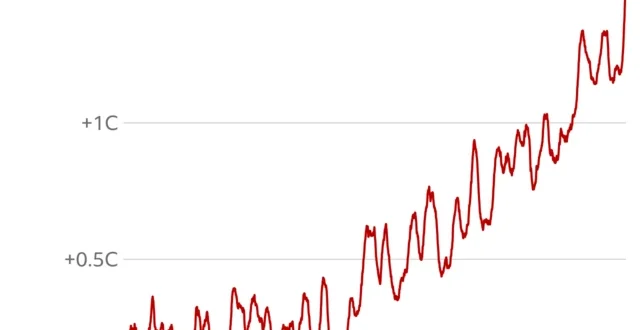 Nyamuk Muncul di Islandia: Bukti Nyata Perubahan Iklim