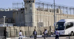 Pembebasan Warga Palestina oleh Israel: Analisis Terbaru Konflik Timur Tengah