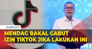 Pembekuan Izin TikTok Dicabut, Apa Dampaknya untuk Indonesia?