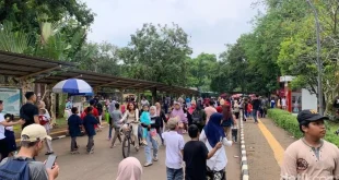 Penataan Parkir Prioritas di Wisata Malam Ragunan Membeludak