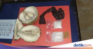 Penyelundupan 1 Kg Sabu Berkedok Durian di Dumai Digagalkan