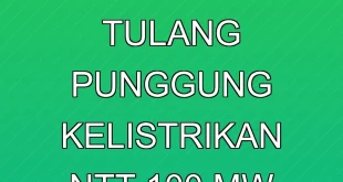PLTU Timor-1: Tulang Punggung Kelistrikan NTT 100 MW