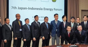 Sinkronisasi Data Energi Nasional ESDM & BPS 2025 Terbaru