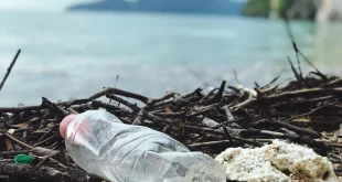 Sistem Filtrasi Mikroplastik Jakarta: Inovasi Kurangi Polusi Udara & Air