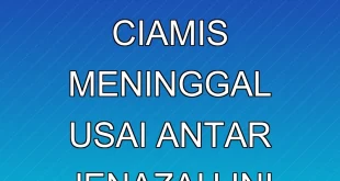 Sopir Ambulans Ciamis Meninggal Usai Antar Jenazah, Ini Faktanya