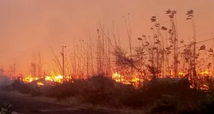 TPPI Tegas Bantah Kebakaran Kilang Tuban, Operasi Normal