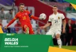 Wales vs Belgia: Klarifikasi Dugaan Invasi Tikus di Stadion