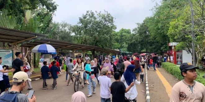 Wisata Malam Ragunan Membeludak, Penataan Parkir Jadi Prioritas