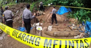 411 Lubang Tambang Emas Ilegal Mengancam TN Halimun-Salak