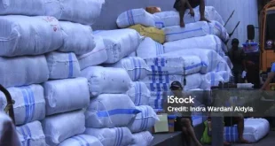 5 WNA Nigeria Denda Rp 500 Juta Karena Berdagang Ilegal di Tanah Abang