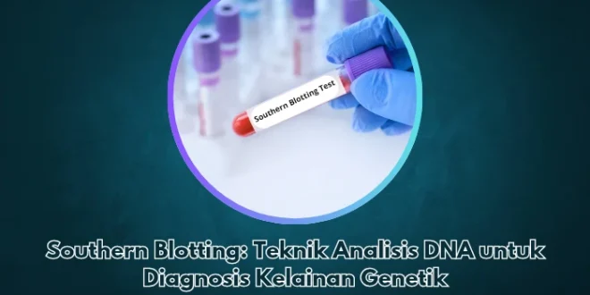 Analisis DNA Hitler: Dugaan Mikropenis & Kelainan Genetik