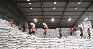 Analisis Investasi 100 Gudang Bulog Rp 5 Triliun untuk Ketahanan Pangan