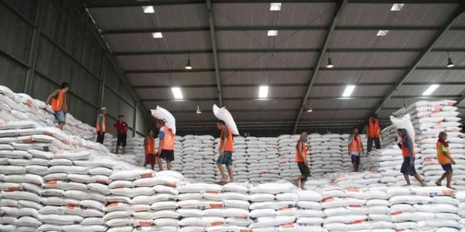 Analisis Investasi 100 Gudang Bulog Rp 5 Triliun untuk Ketahanan Pangan