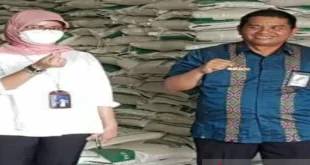 Analisis Stok Beras Bulog Sumut 34 Ribu Ton untuk Stabilkan Harga Nataru