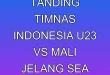 Analisis Uji Tanding Timnas Indonesia U-23 vs Mali Jelang SEA Games 2025