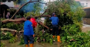 Banjir dan Longsor Kepung 18 Wilayah Tangsel, Simak Update Terbaru