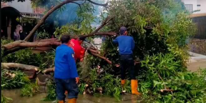 Banjir dan Longsor Kepung 18 Wilayah Tangsel, Simak Update Terbaru