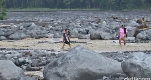 Banjir Lahar Gunung Semeru: 3 Dusun Terisolir & Update Evakuasi
