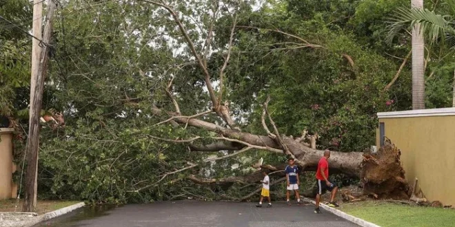 Bantuan Perancis ke Jamaika Usai Badai Melissa: Fakta Terbaru