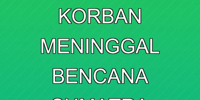 BNPB Laporkan 303 Korban Meninggal Bencana Sumatra Terbaru