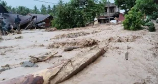 Dampak dan Penanganan Banjir Bandang Tapanuli Selatan Terbaru
