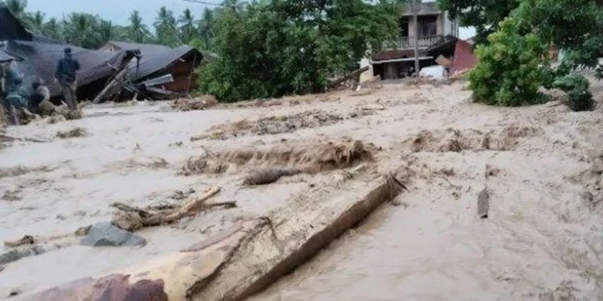 Dampak dan Penanganan Banjir Bandang Tapanuli Selatan Terbaru