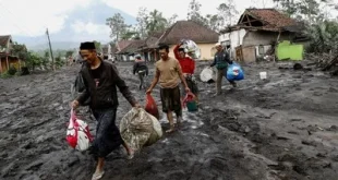 Dampak Erupsi Semeru: 3 Luka Berat & Lahan Rusak 204 Hektare