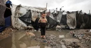 Dampak Hujan Deras & Suhu Dingin pada Pengungsi Palestina Gaza