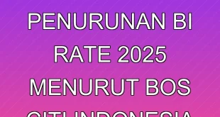 Dampak Penurunan BI Rate 2025 menurut Bos Citi Indonesia