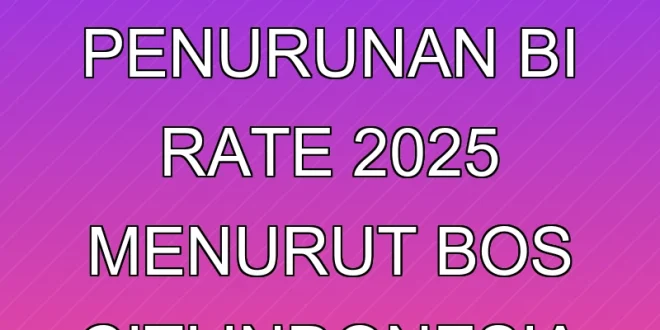Dampak Penurunan BI Rate 2025 menurut Bos Citi Indonesia