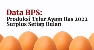 Dampak Program MBG pada Harga Telur & Inflasi Pangan 2025