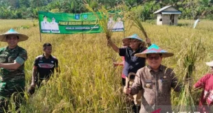 DPD Harapan Optimis Capai 50% Mandiri Pangan Daerah 2024