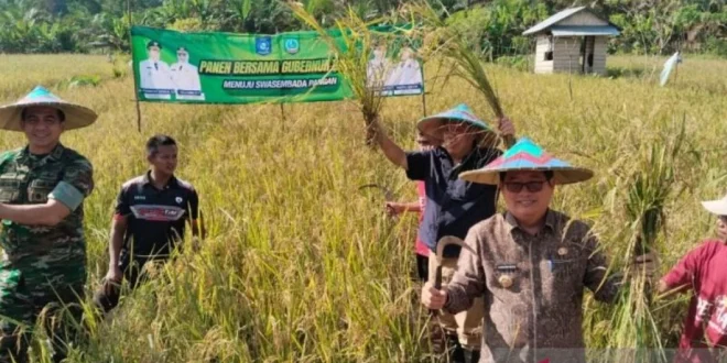 DPD Harapan Optimis Capai 50% Mandiri Pangan Daerah 2024