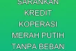 DPR RI Sarankan Kredit Koperasi Merah Putih Tanpa Beban APBN