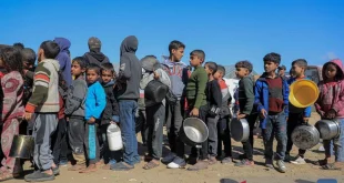 Dua Bocah Palestina Ditembak di Tepi Barat, Kronologi dan Dampak