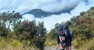 Dua Pendaki Tewas di Gunung Aspiring Selandia Baru Terbaru