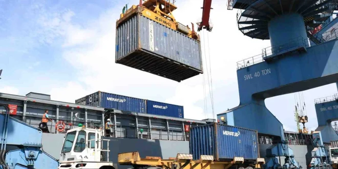 Ekspor Gambir Sumbar 27 Ton ke India, Dampak dan Prospek Ekonomi 2025