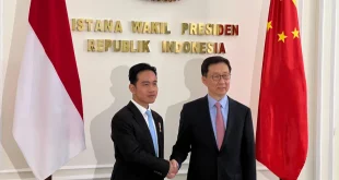Gibran Tegaskan Komitmen RI Perluas Investasi Afrika Selatan 2025