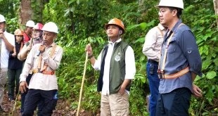 Investasi USD1 Miliar Menhut RI Lindungi Hutan Tropis 2024