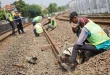 KAI Yogyakarta Ganti 7.000 Meter Rel, Tingkatkan Keamanan Perjalanan