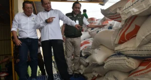 Kasus Beras 250 Ton Ilegal di PT Multazam Sabang Terungkap