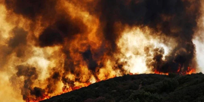 Kebakaran Besar Saganoseki Jepang: Evakuasi Ratusan Warga Terbaru