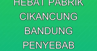 Kebakaran Hebat Pabrik Cikancung Bandung: Penyebab & Penanganan