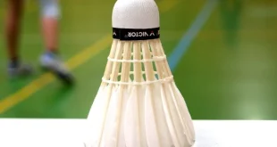 Klarifikasi Klaim 11 Wakil Indonesia di 16 Besar Australian Open 2025