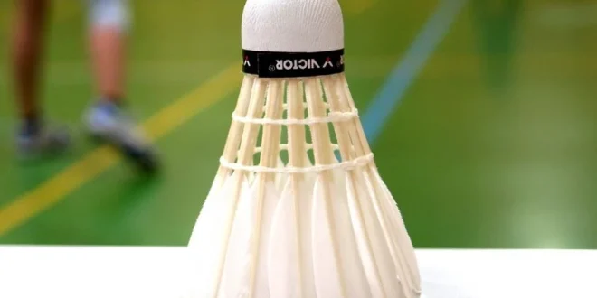 Klarifikasi Klaim 11 Wakil Indonesia di 16 Besar Australian Open 2025