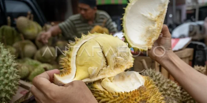 Klarifikasi Zulhas: Durian Belum Jadi Buah Nasional Indonesia