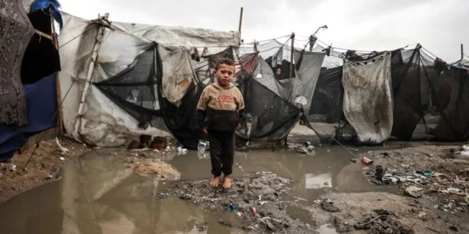 Krisis Banjir di Kamp Pengungsi Gaza: Dampak & Evakuasi Terbaru