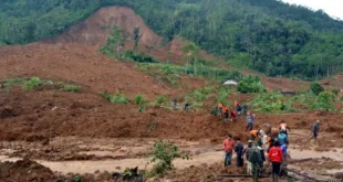 Longsor Banjarnegara Terbaru: 1 Tewas & 480 Mengungsi Saat Hujan Deras